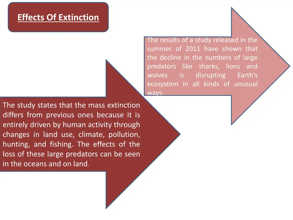 effects of extinction