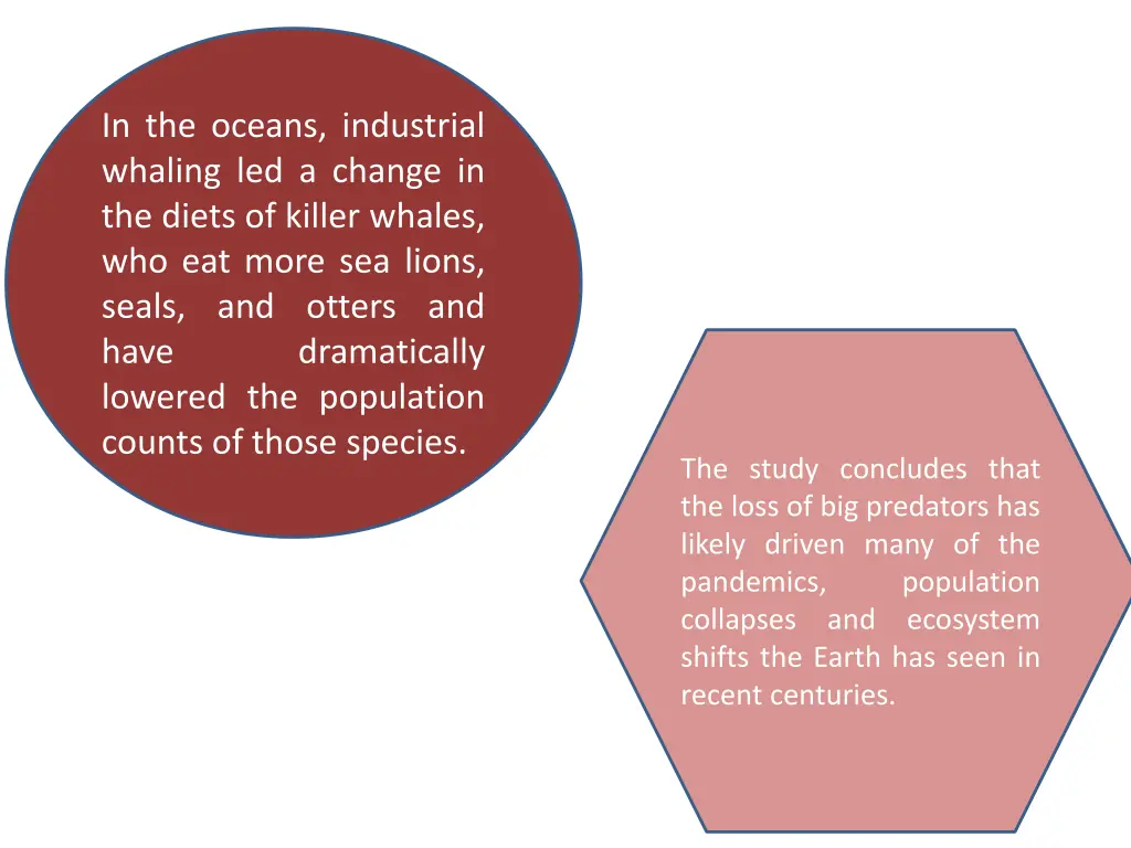 in the oceans industrial whaling led a change