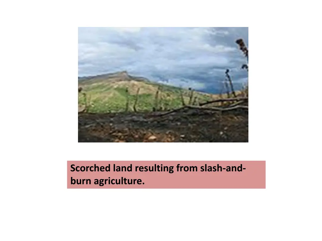 scorched land resulting from slash and burn