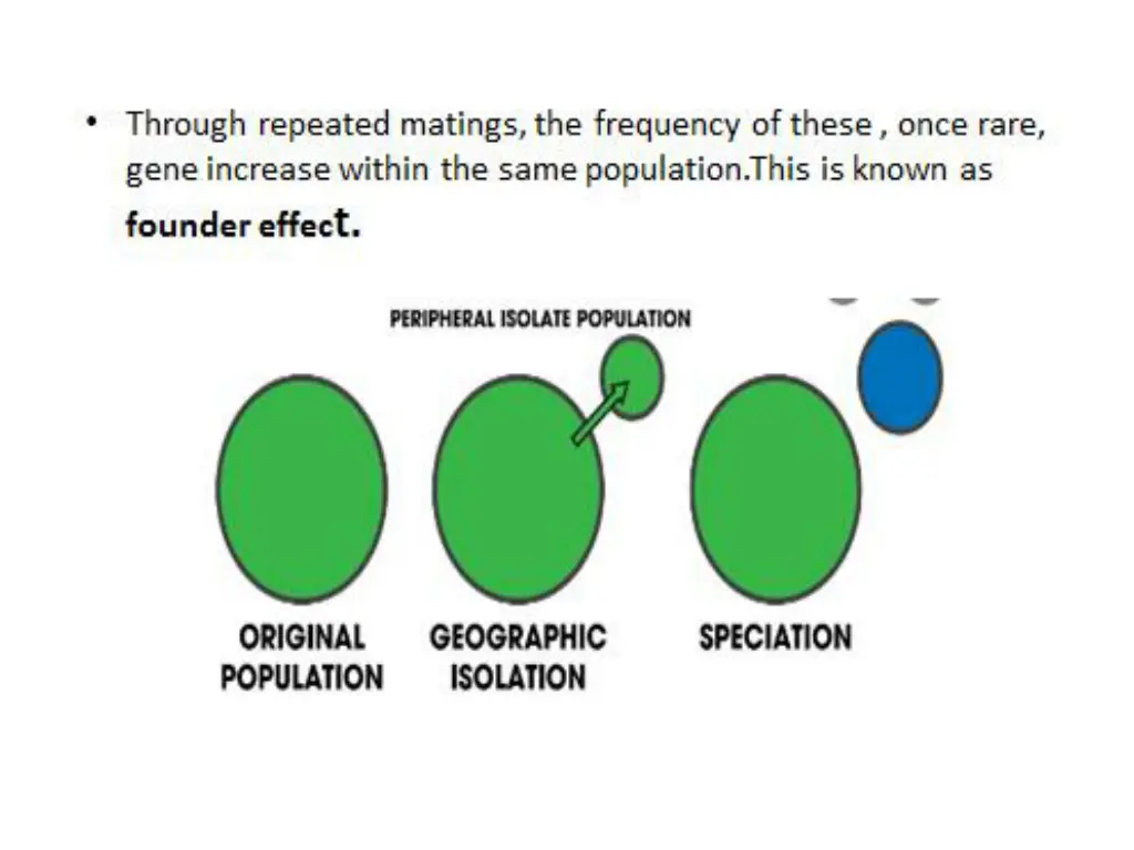 slide13