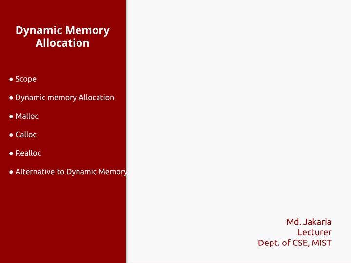 dynamic memory allocation