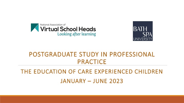 postgraduate study in professional postgraduate