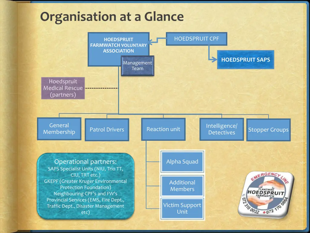 organisation at a glance