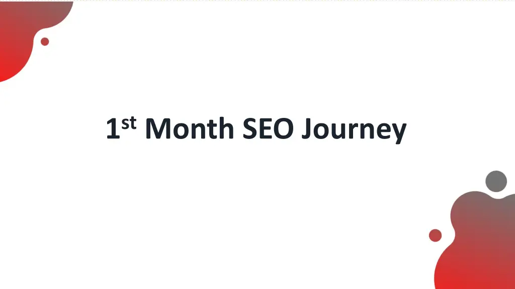 1 st month seo journey