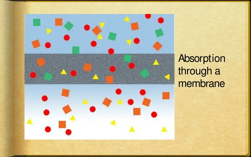 absorption through a membrane