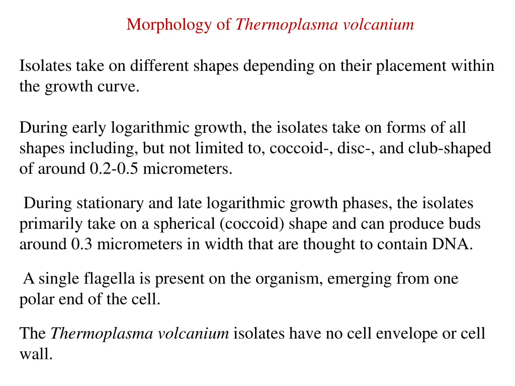 morphology of thermoplasma volcanium