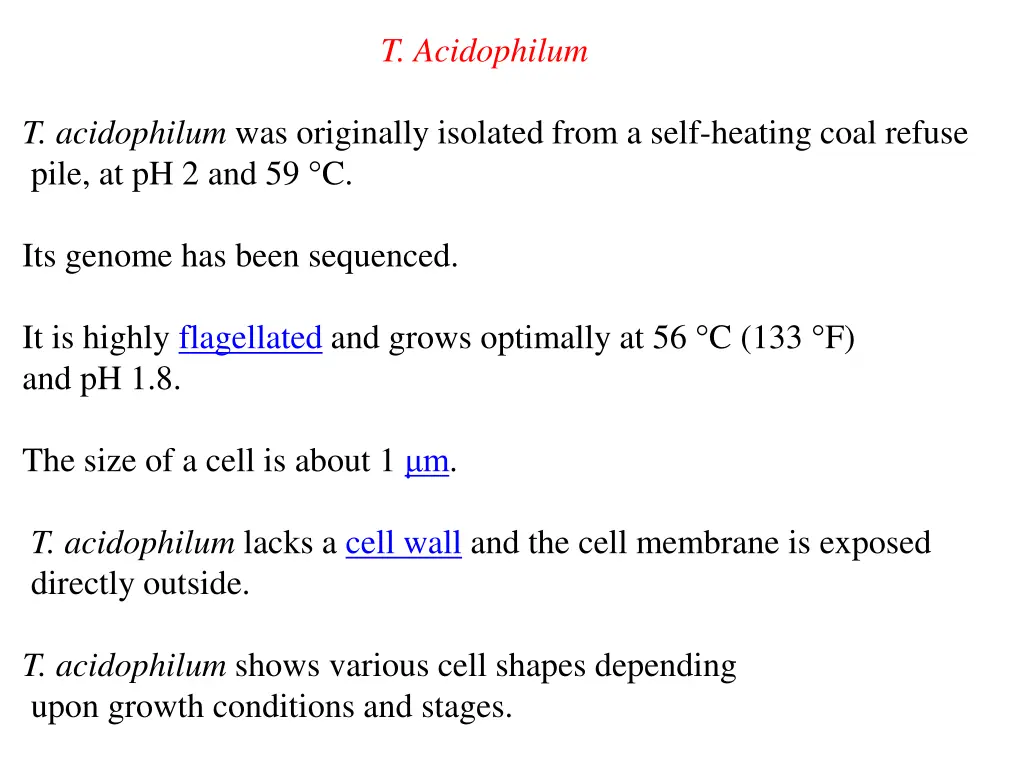 t acidophilum