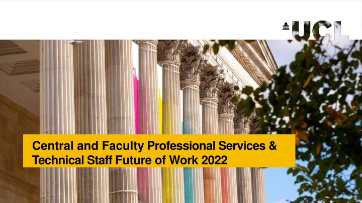 central and faculty professional services