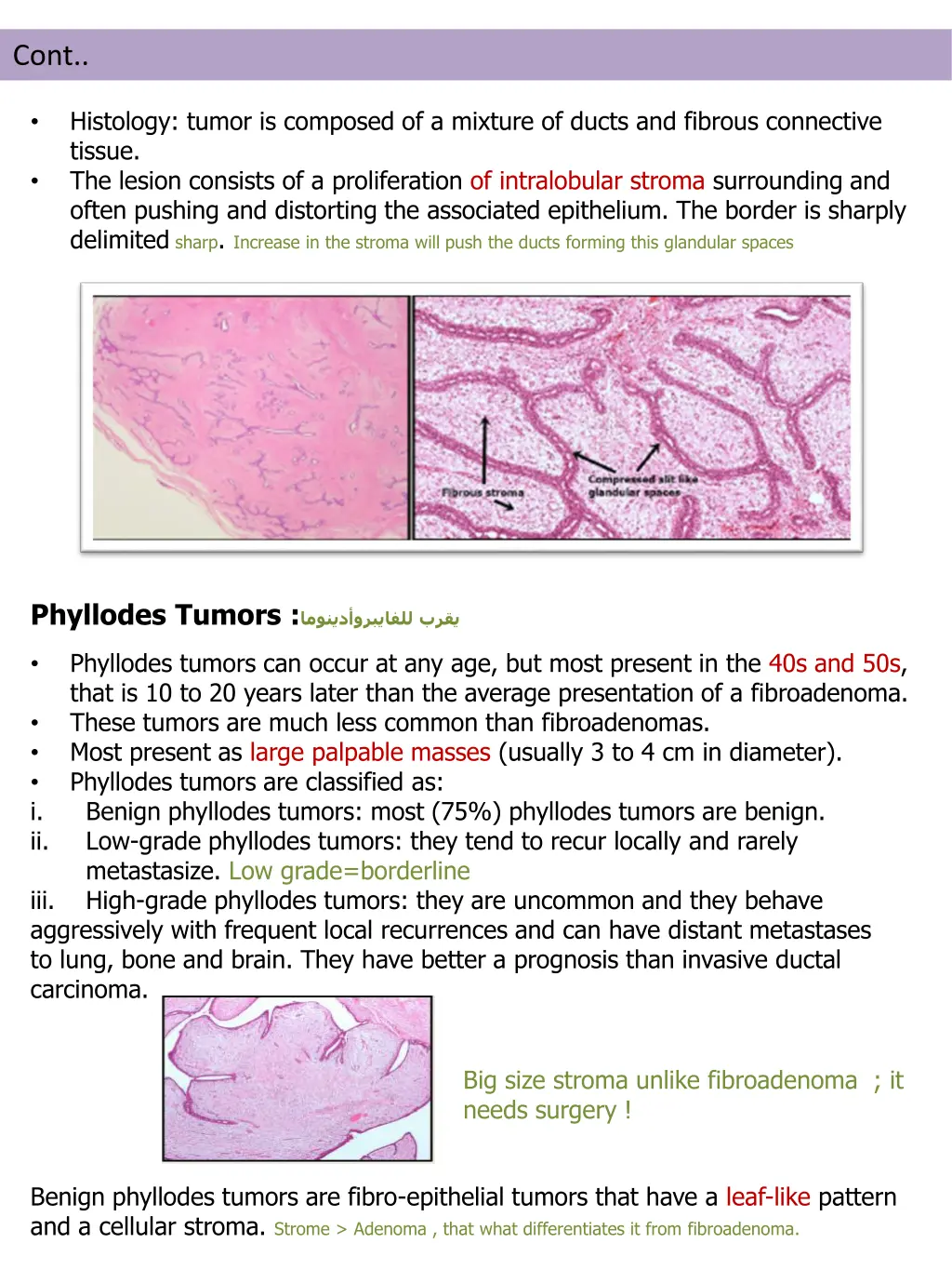 slide11