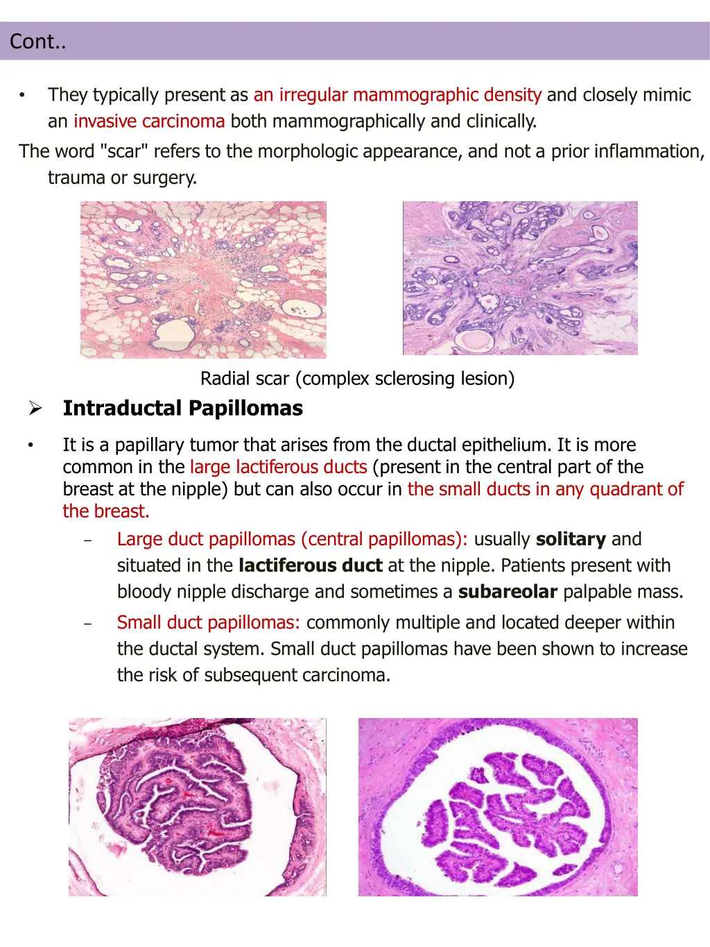 slide7