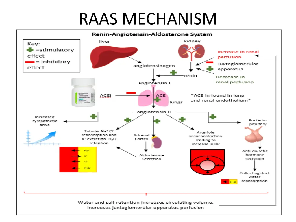 raas mechanism