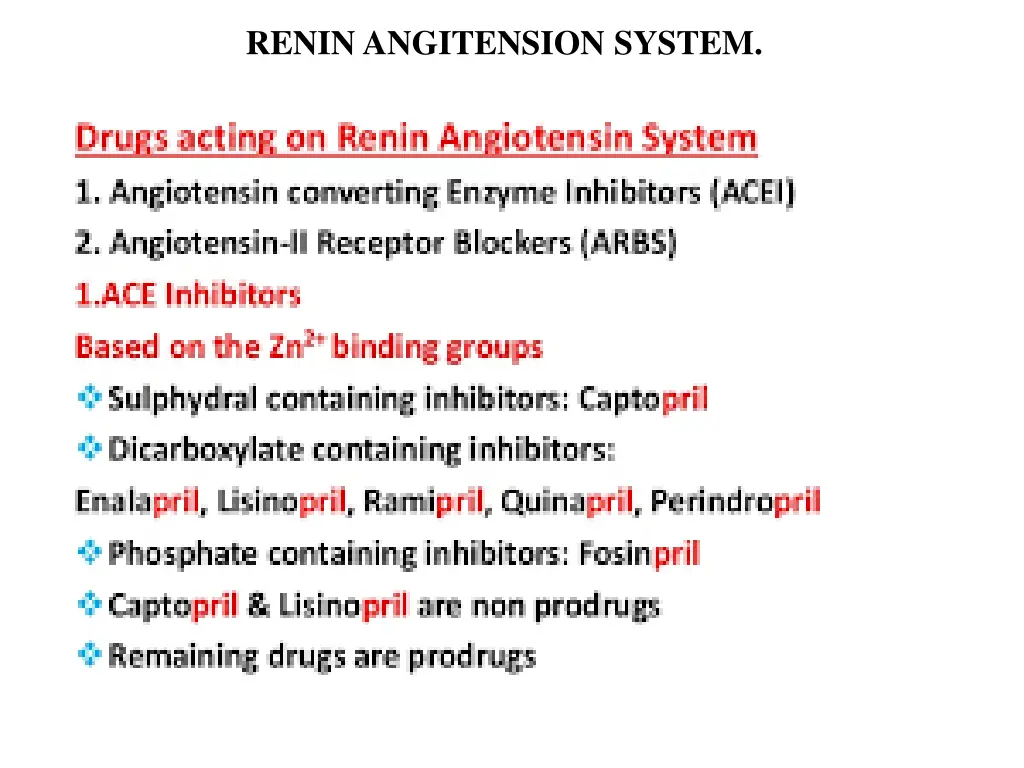 renin angitension system