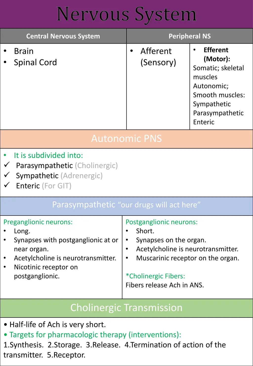 nervous system