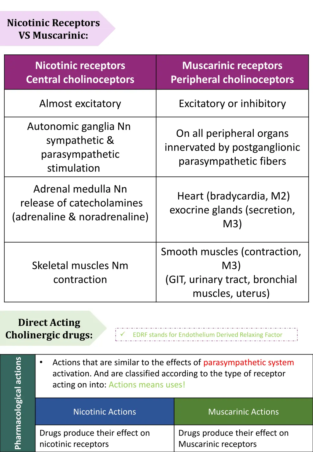 nicotinic receptors vs muscarinic