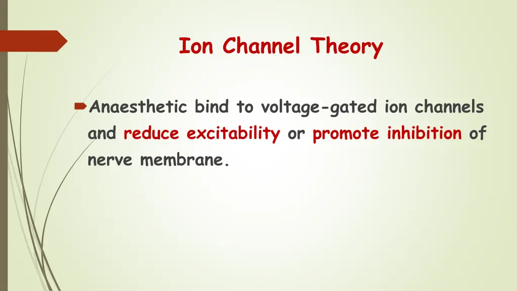 ion channel theory