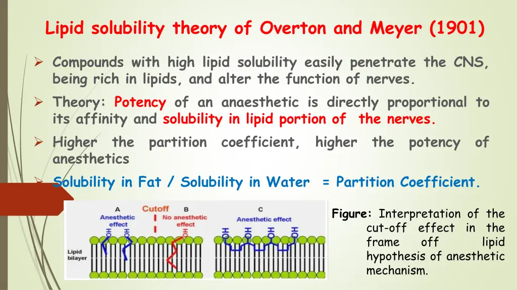 lipid solubility theory of overton and meyer 1901