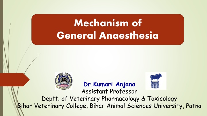 mechanism of general anaesthesia