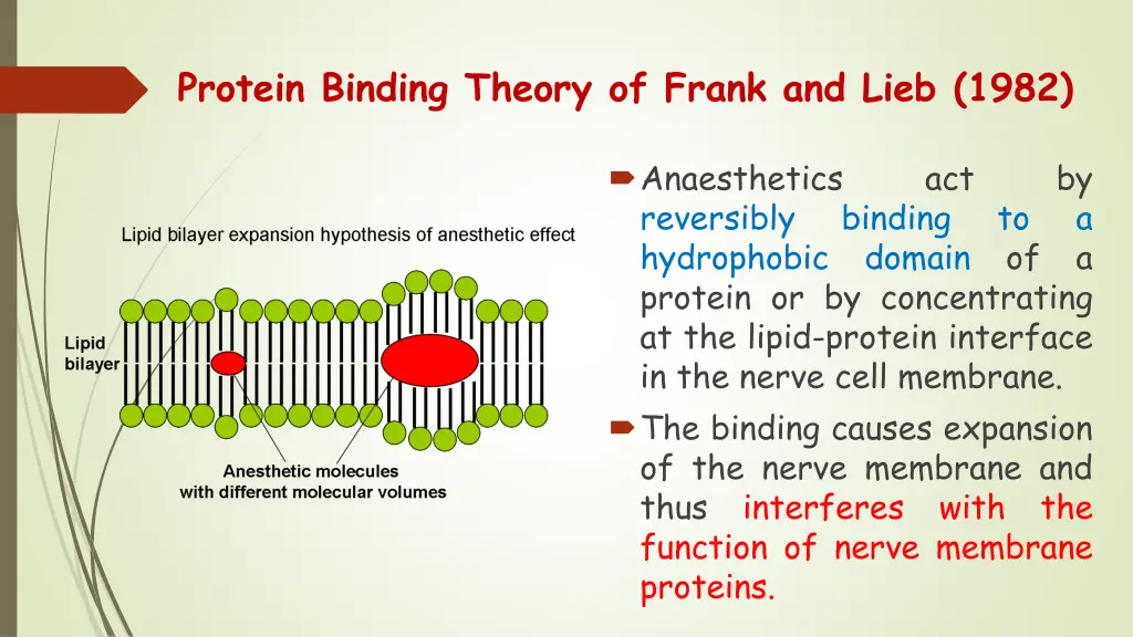 protein binding theory of frank and lieb 1982