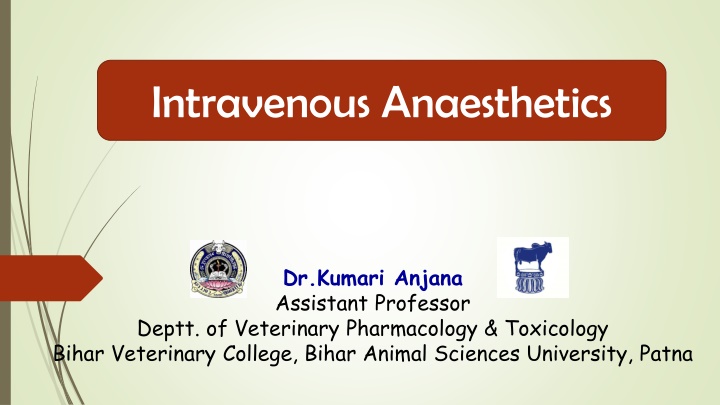 intravenous anaesthetics