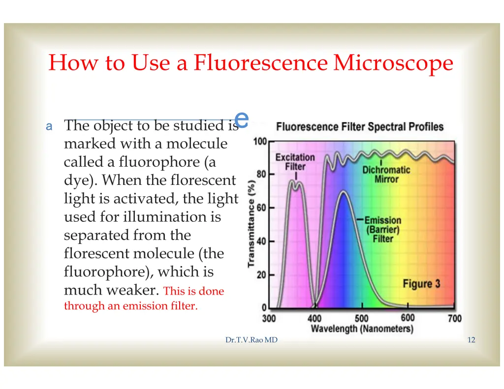 how to use a fluorescence microscope