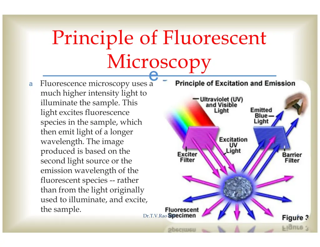 principle of fluorescent microscopy 1