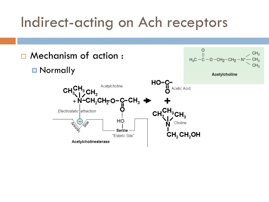 indirect acting on ach receptors 1