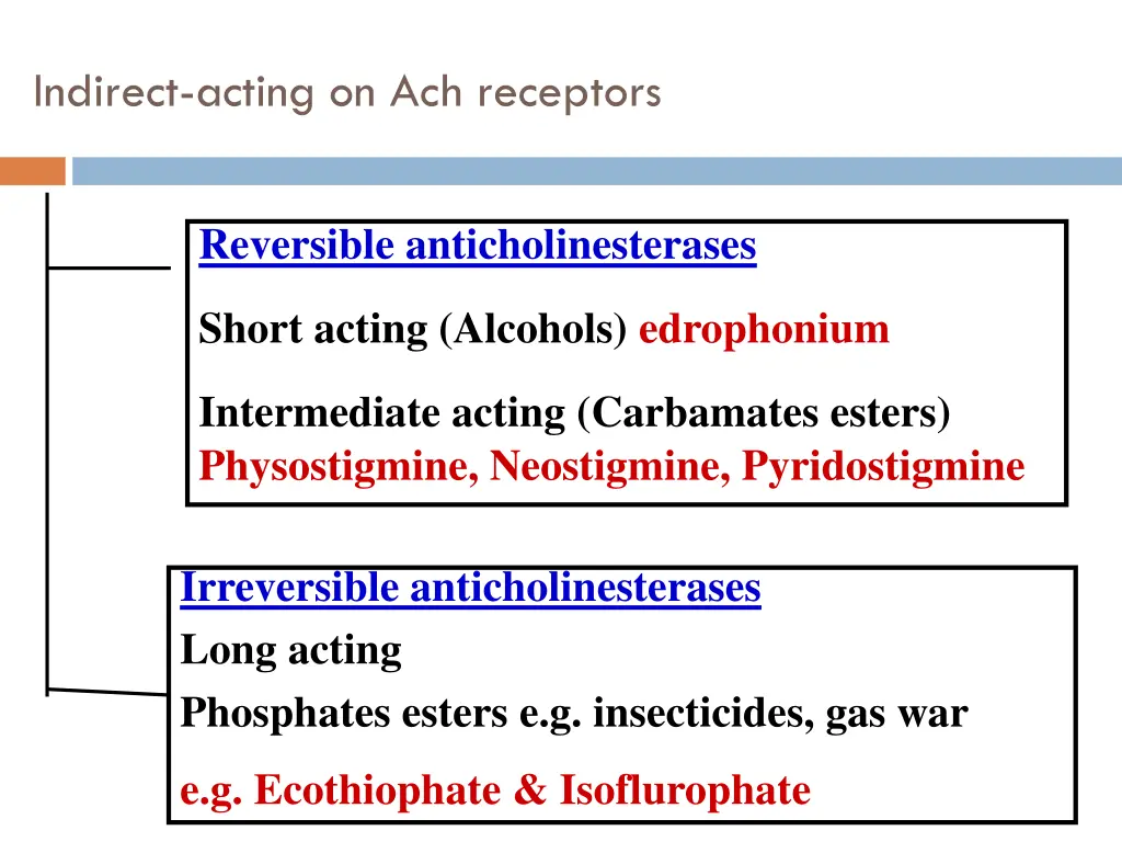 indirect acting on ach receptors 2