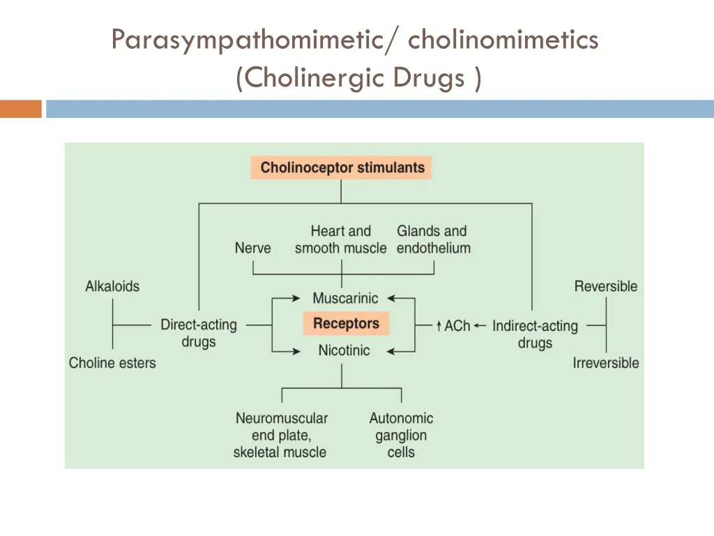 parasympathomimetic cholinomimetics cholinergic