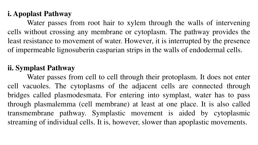 i apoplast pathway water passes from root hair