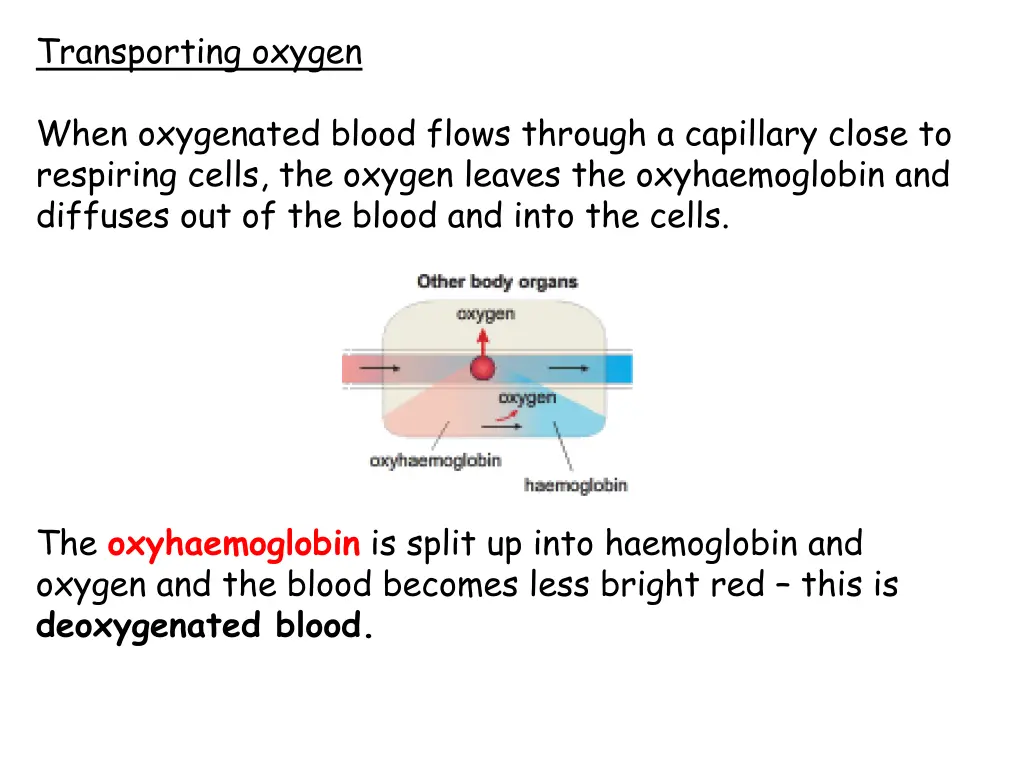 transporting oxygen 1