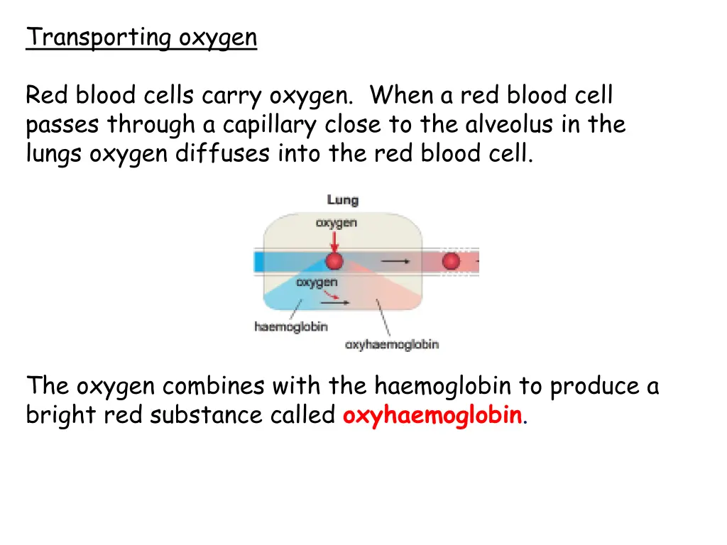 transporting oxygen