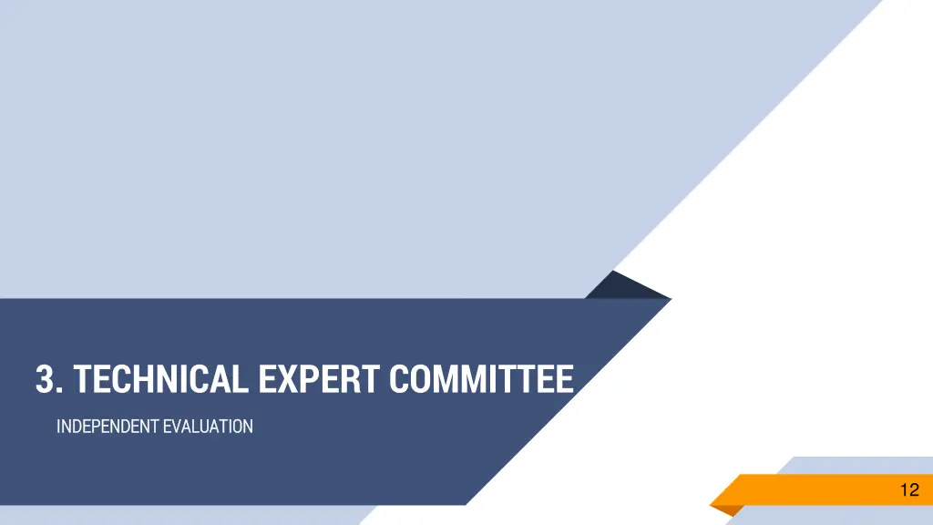 3 technical expert committee