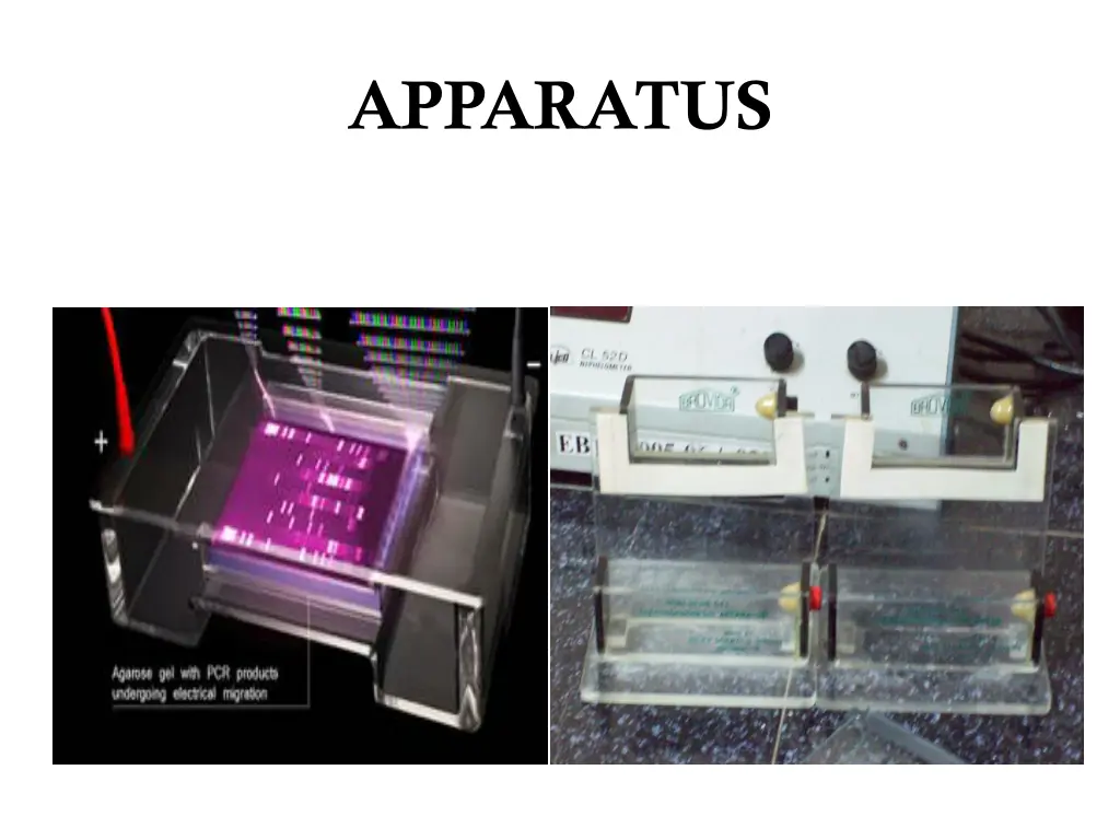 apparatus