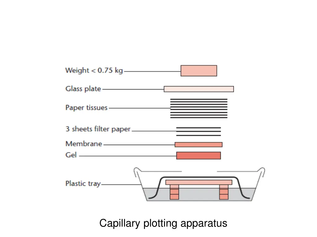 capillary plotting apparatus