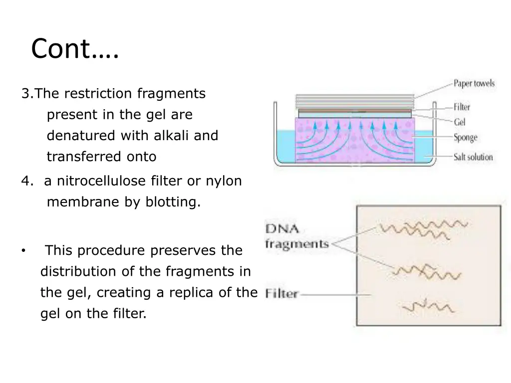 slide10