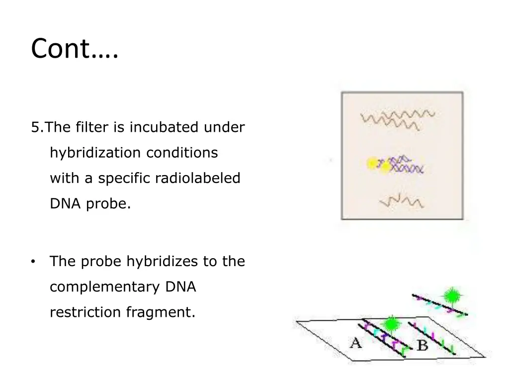 slide11