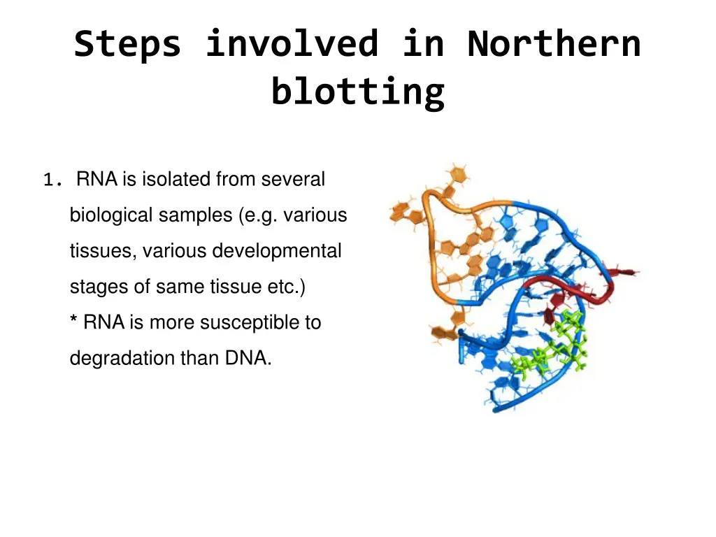 steps involved in northern blotting