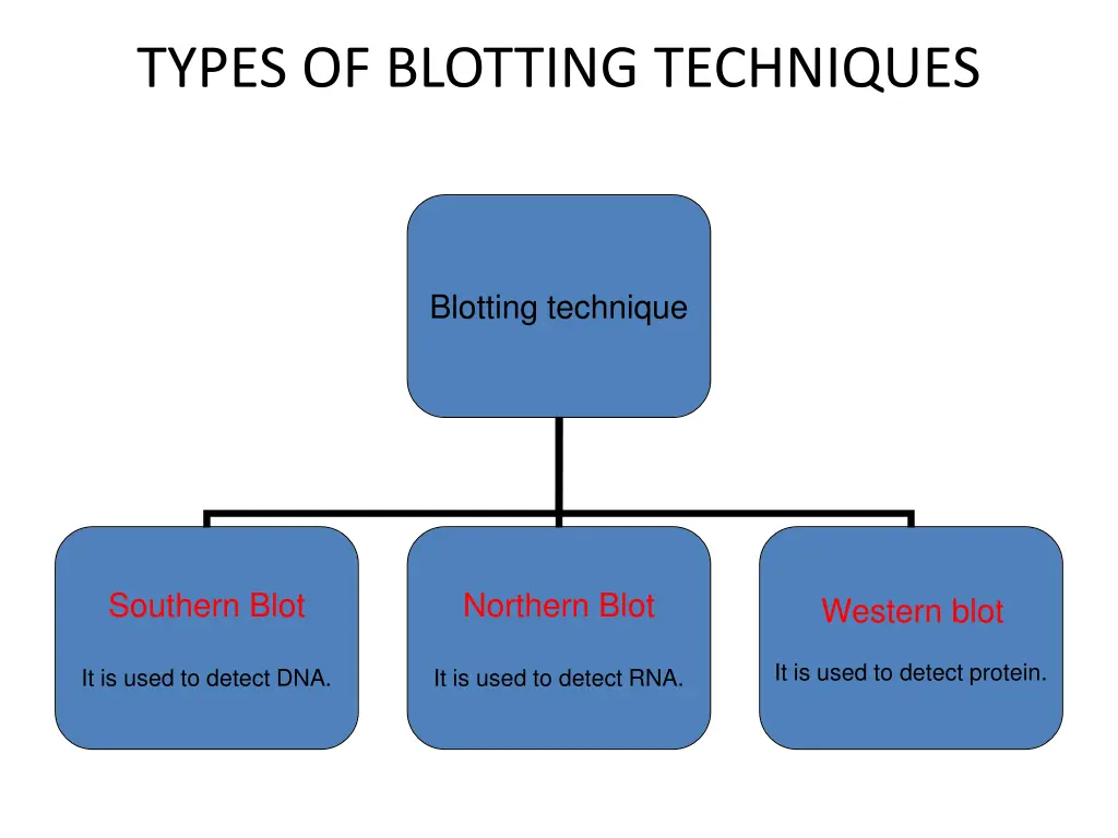 types of blotting techniques