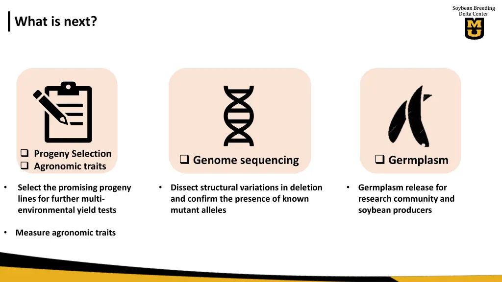 soybean breeding delta center 6