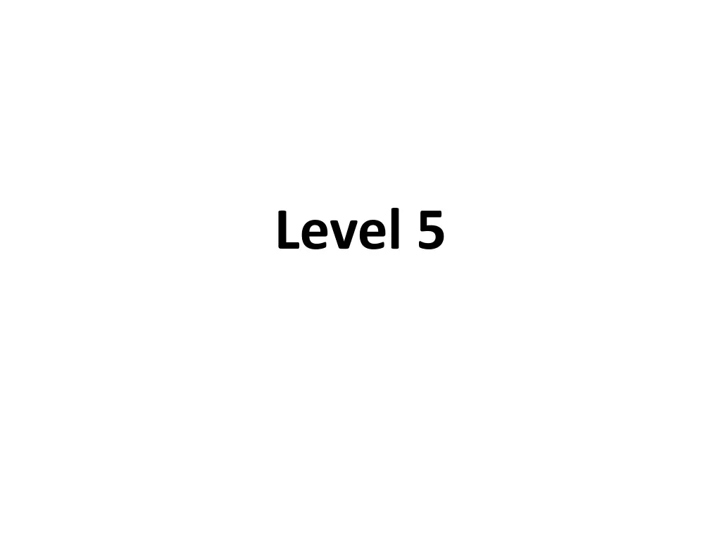 level 5