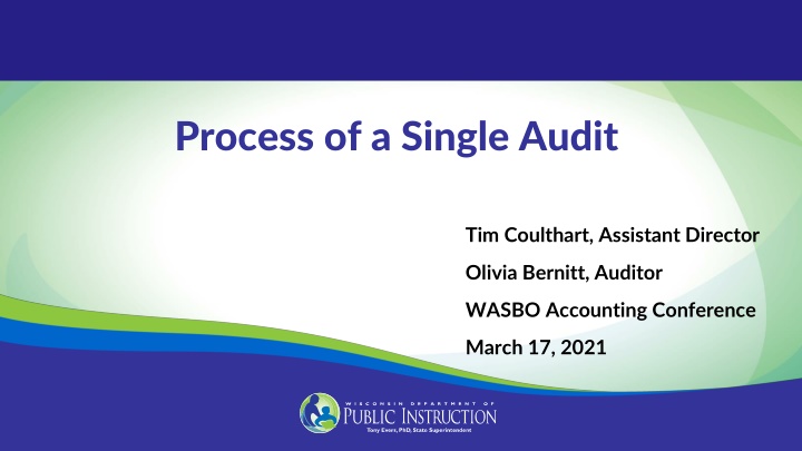 process of a single audit