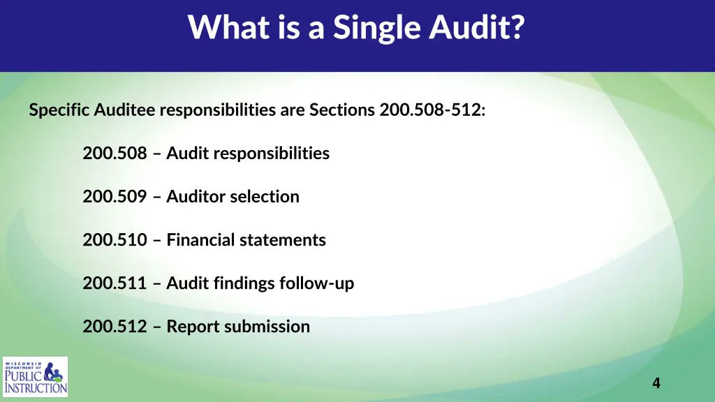 what is a single audit 1