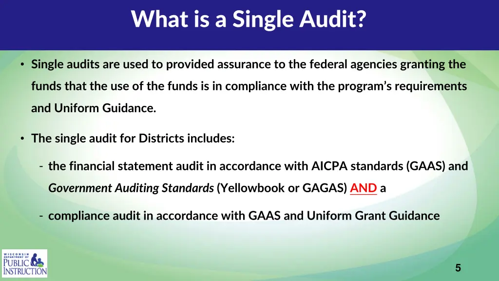 what is a single audit 2