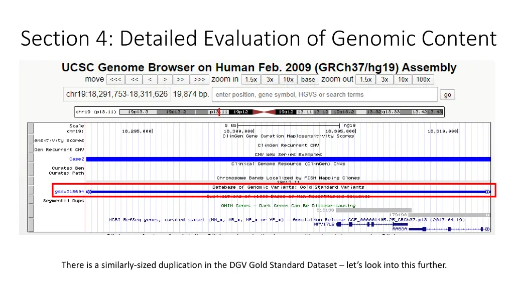 section 4 detailed evaluation of genomic content