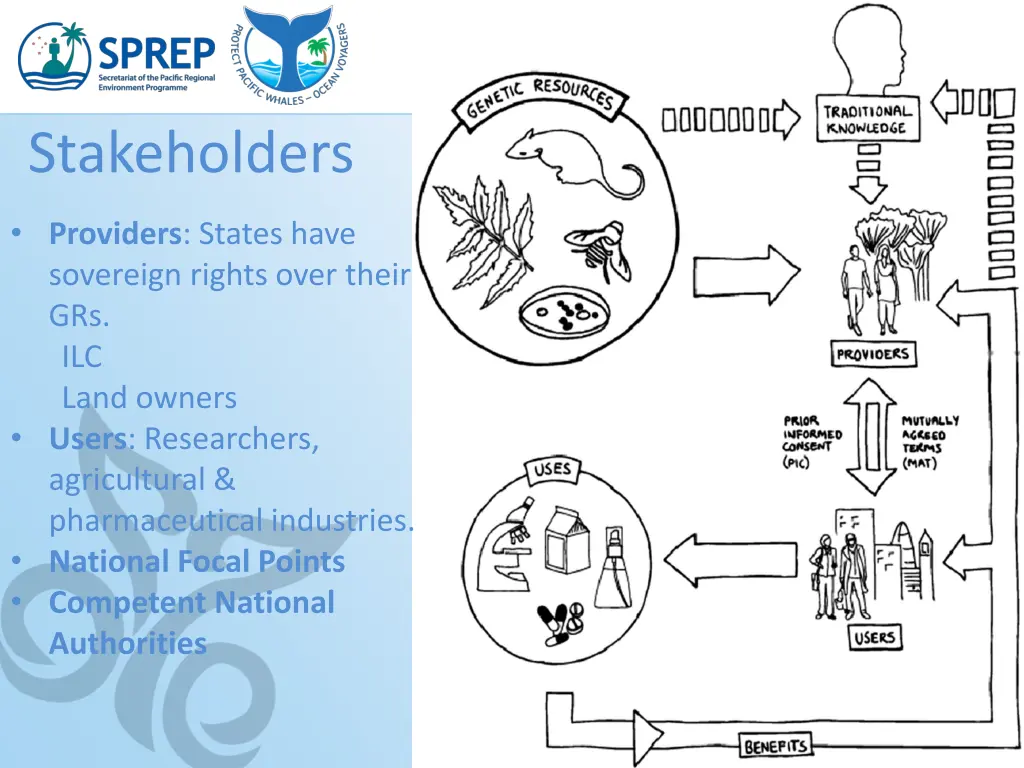 stakeholders