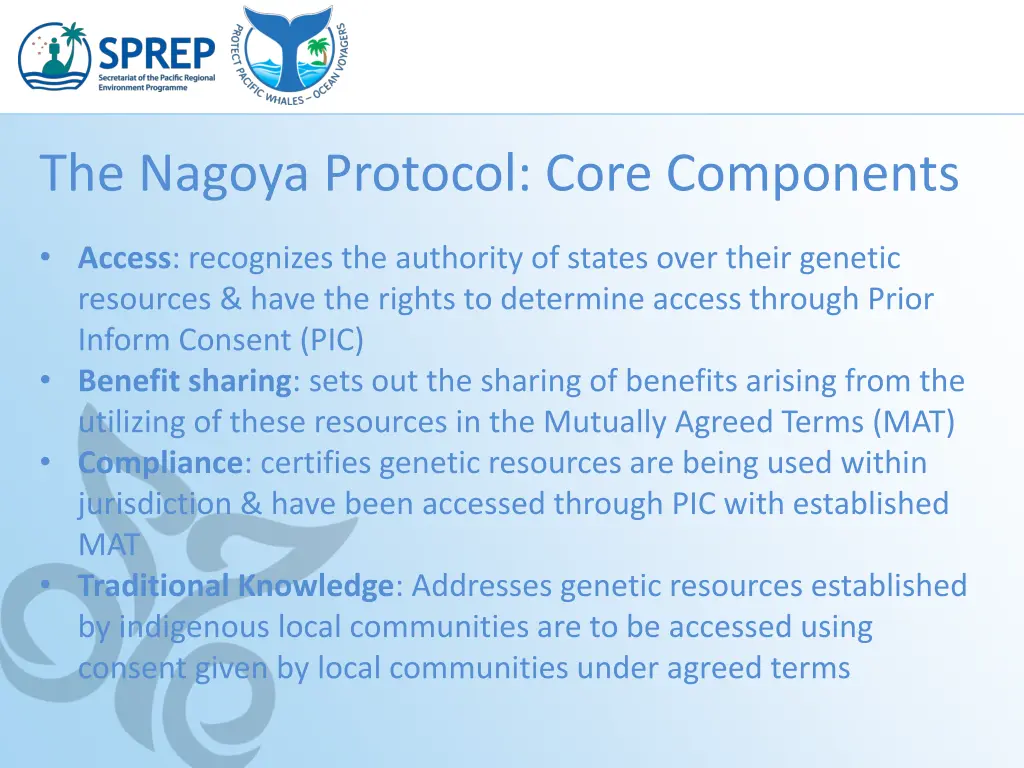 the nagoya protocol core components