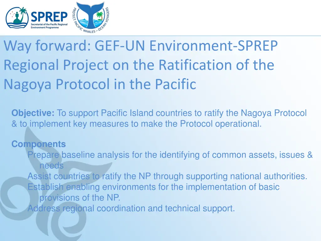 way forward gef un environment sprep regional