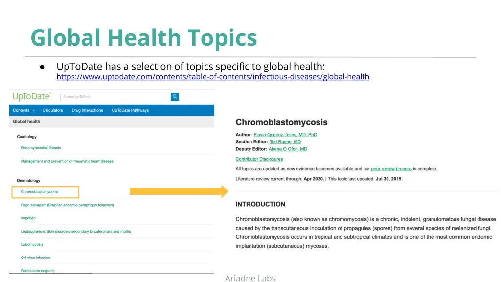 global health topics