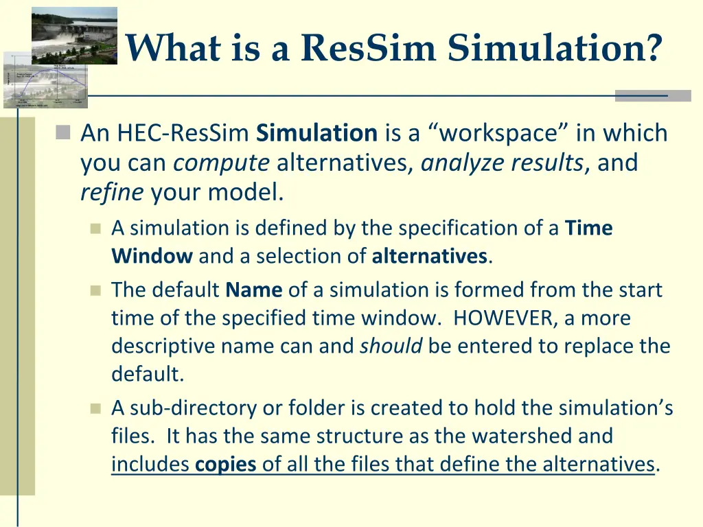 what is a ressim simulation