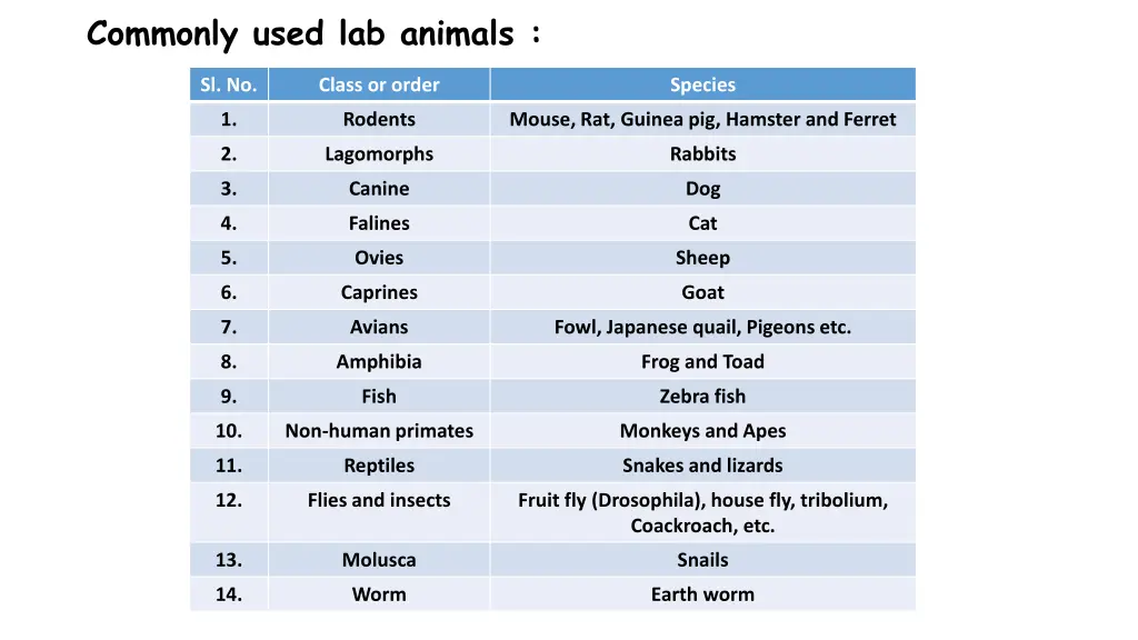 commonly used lab animals